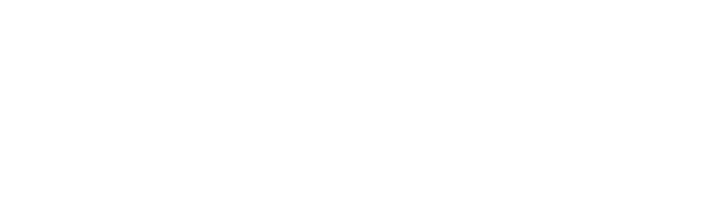 Transzone Logistics